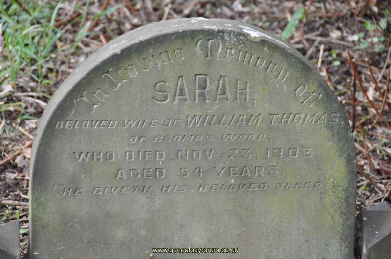 Thomas - Sarah (wife of William)