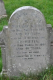 Tooth - William, Henrietta