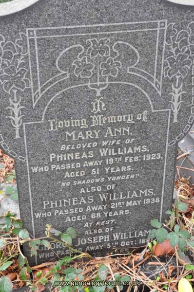 Williams - Phineas, Mary Ann & George Joseph
