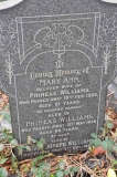 Williams - Phineas, Mary Ann & George Joseph