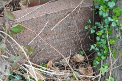 Bate - George, Minnie