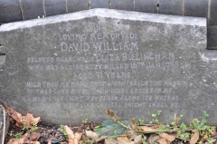 Billingham - David William (husband of Eliza)