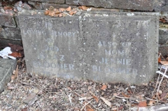 Bloomer - Boaz, Jennie