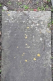 Bradley - James (died in Hamstead Colliery disaster)