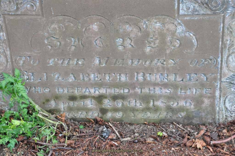 Burley - Elizabeth