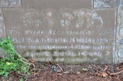Burley - Elizabeth