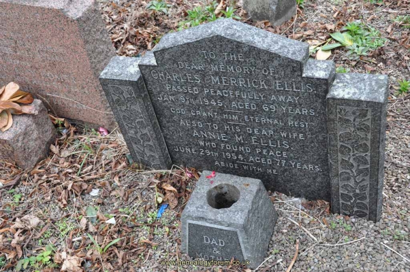 Ellis - Charles Merrick, Annie M