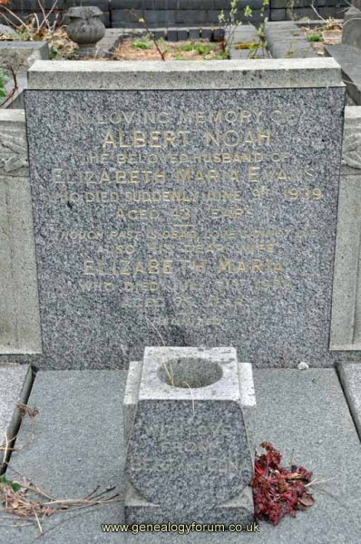 Evans - Albert Noah, Elizabeth Maria