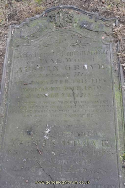 Grove - Austin, Jane