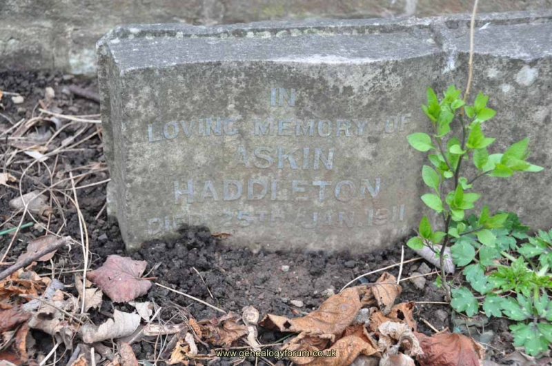 Haddleton - Askin