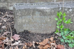 Haddleton - Askin