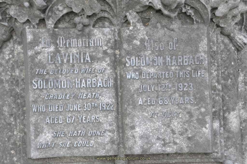 Harbach - Solomon, Lavinia