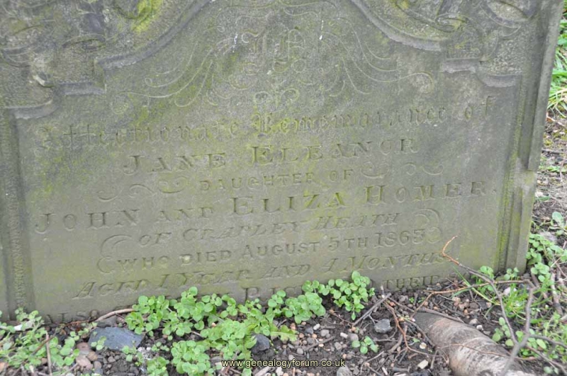 Homer - Jane (dau of John & Eliza)