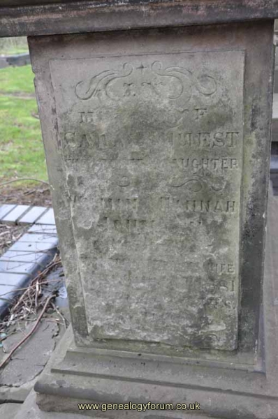 Johnson 1 - Sarah Guest (dau of William, Hannah)