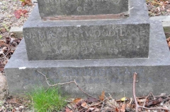 Lane - James Westwood, Gertrude
