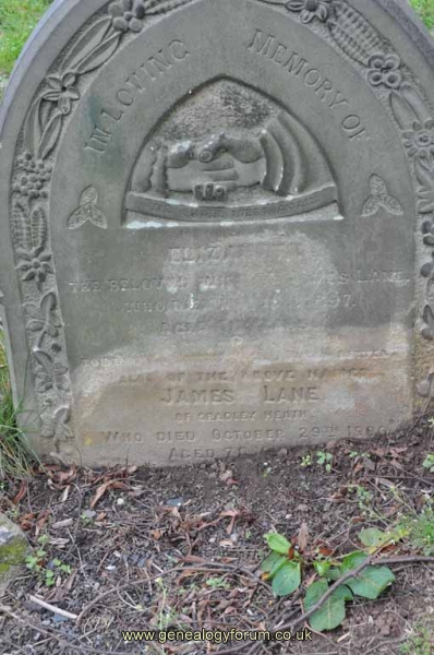 Lane - James, Elizabeth