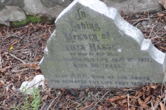 Massey - James, Ann