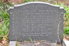 Morgan - William H Y, Emily May & son William Ronald