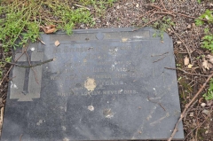 Parkes - Jack (son of John, Lily)