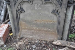 Parkes 1 - Timothy