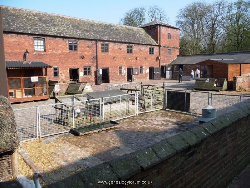 Sandwell Valley - Sandwell Park Farm