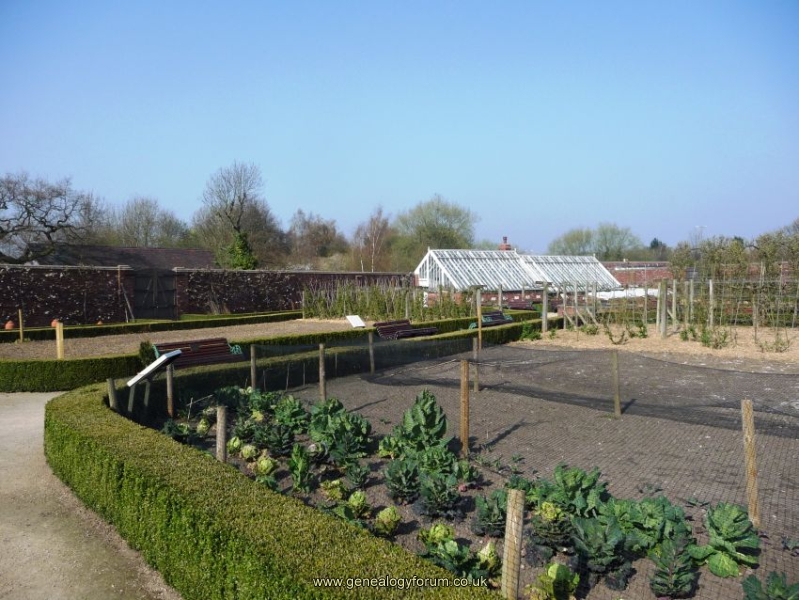Sandwell Valley - Sandwell Park Farm