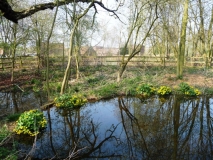 Sandwell Valley - Sandwell Park Farm