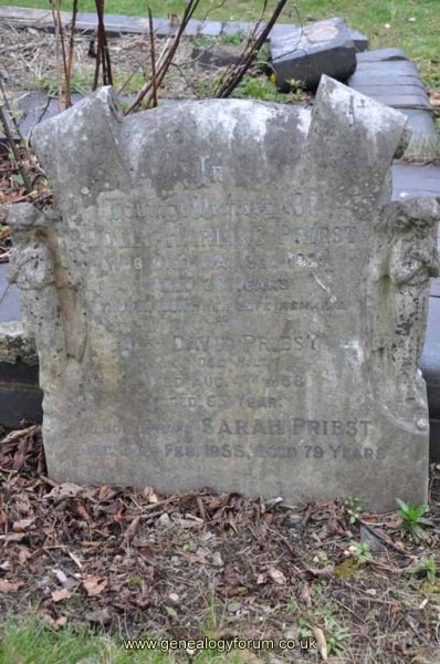 Priest - David, Sarah & Dolly Harling