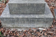 Robinson - Theodore Hayes
