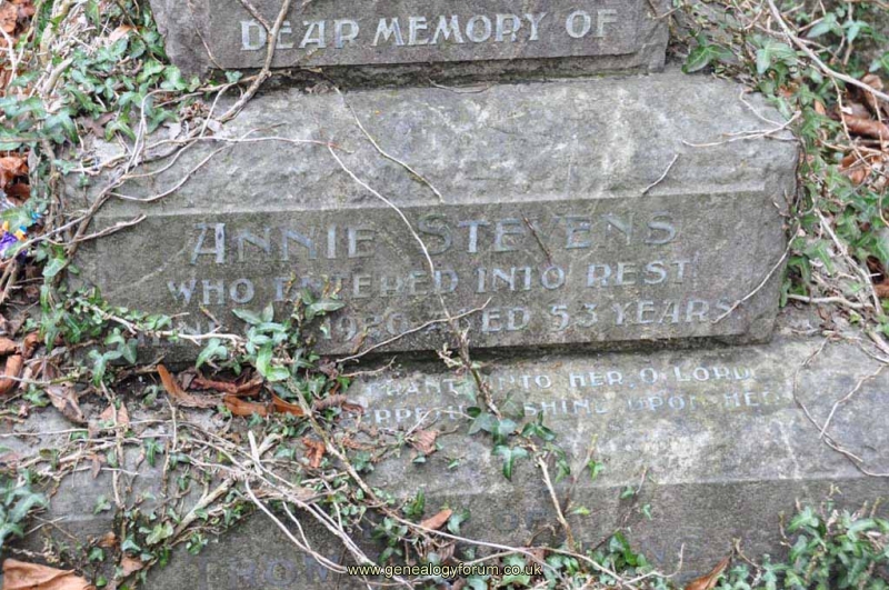 Stevens - Annie