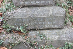 Stevens - Annie
