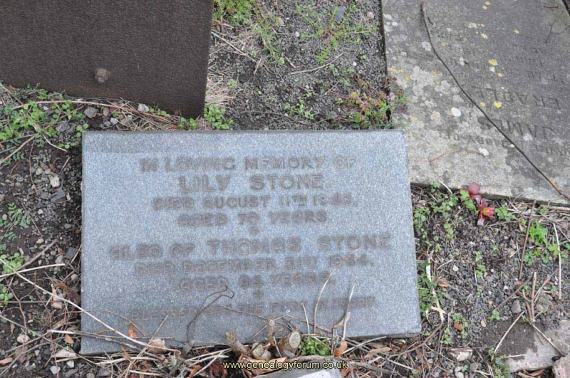 Stone - Thomas, Lily