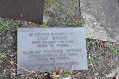 Stone - Thomas, Lily