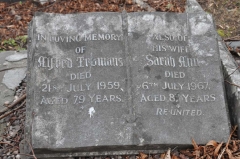 Tromans 3 - Alfred, Sarah Ann