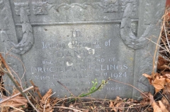 Wellings - Daniel (husband of Drucilla)