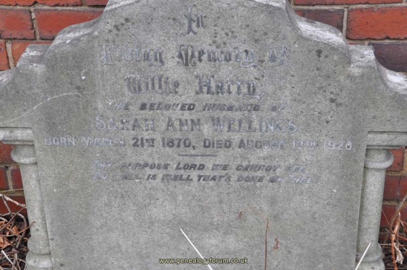 Wellings - Willie Harry (husband of Sarah Ann)