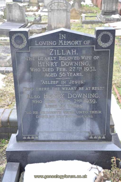 Downing - Henry, Zillah