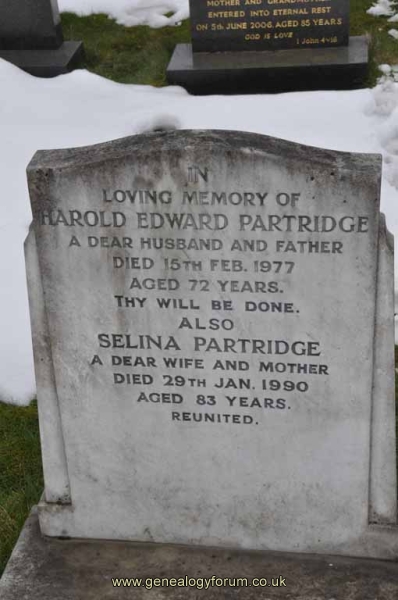 Partridge - Harold Edward, Selina