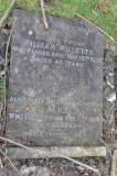 Willetts - William, Amy & dau Alice