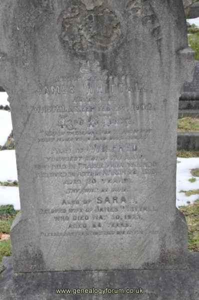 Whittall - James, Sarah & son Wilfred (died of wounds received in action)