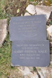 Male - William Percy & Harry George