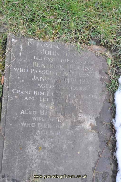 Higgins - John Henry, Beatrice Sarah