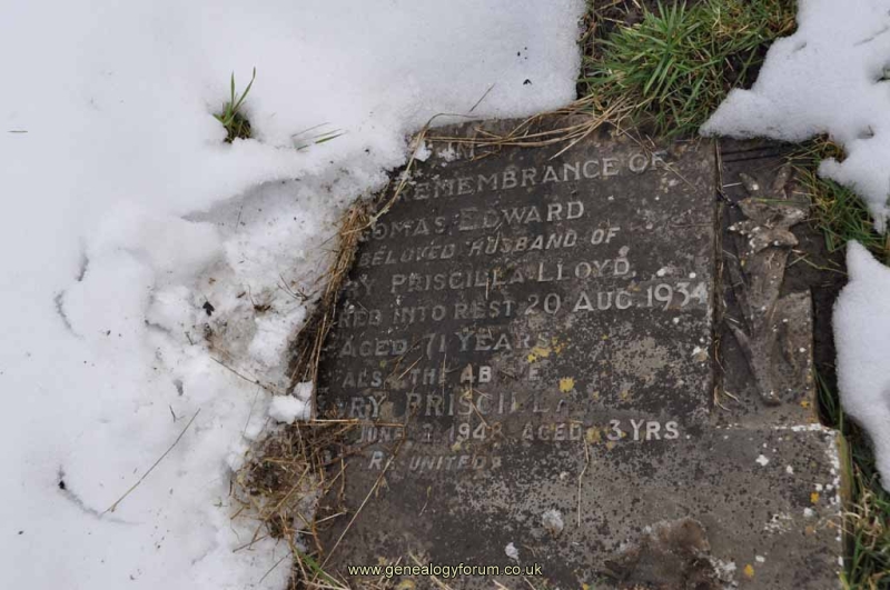 Lloyd - Thomas Edward, Mary Priscilla