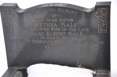 Male - Alethea (wife of Isaac Albert)