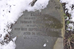 Wells - Eliza (wife of Thomas)