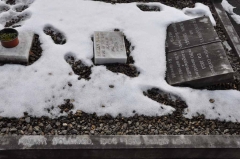 Holland/Thomas/Bache 1a