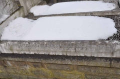 Newton 1 - Elizabeth Heys