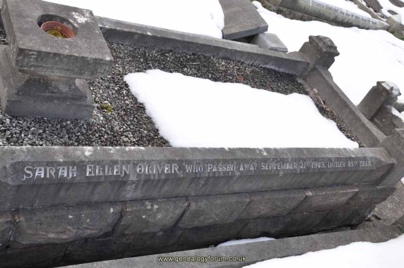 Oliver 1 - Sarah Ellen