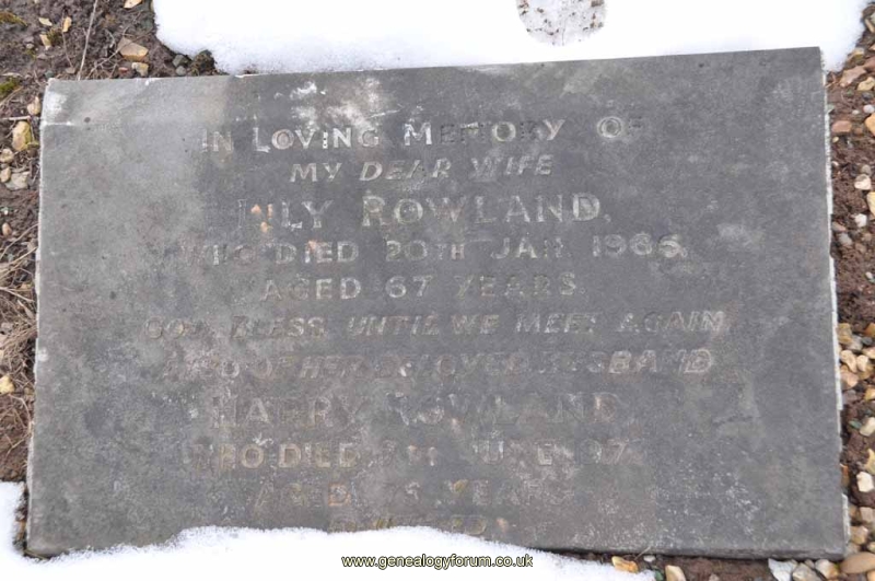 Rowland - Harry, Lily