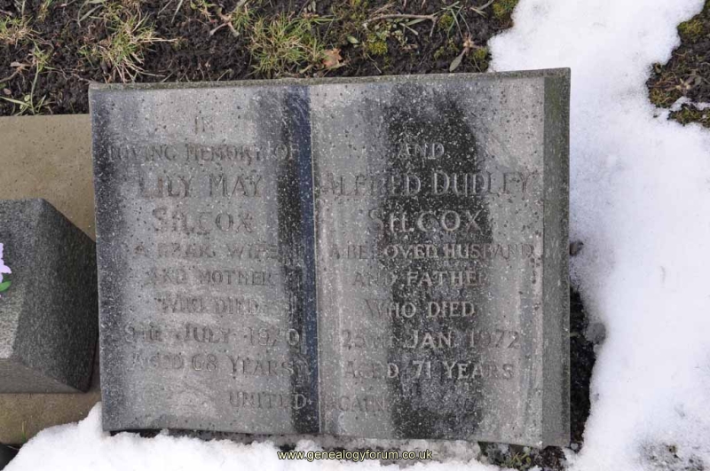 Silcox - Alfred Dudley, Lily May
